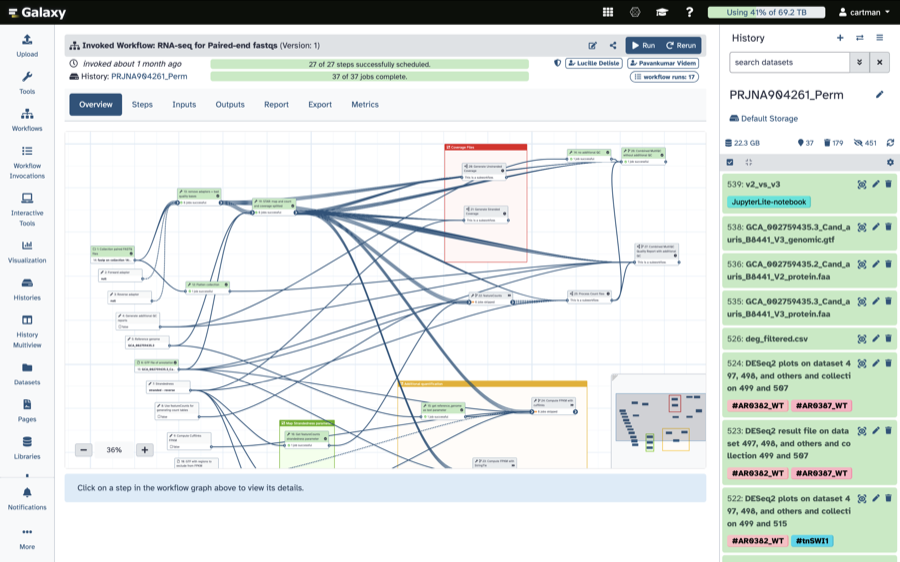 Running the workflow in Galaxy